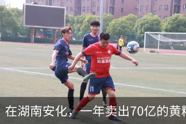 在湖南安化，一年卖出70亿的黄精，到底哪些人在买